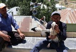 20 yıldır yuvalarını terk etmiyorlar