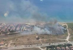 İzmir'de sazlık yangını