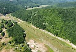 İstanbul'un suyunu sağlayan baraj kurudu; otlarla kaplanıp, yeşil renge büründü