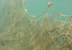 Hayalet ağlar, koruma altındaki türleri de avlıyor
