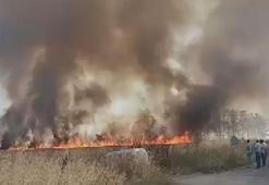 Çatalca'da 200 dönümlük buğday tarlası küle döndü