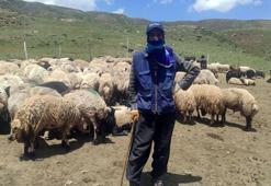 Hakkarililer, yerli bulamayınca 20 bin TL'ye İran'dan çoban getirdi