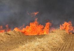 Edirne'de 250 dönüm buğday tarlası yandı