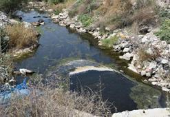 İzmir’in içme suyunu karşılayan baraj yakınına dökülen çöp ve moloza tepki