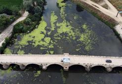 Tunca Nehri'nde su seviyesi yarıya düştü; yüzeyi ot ve çöple kaplandı