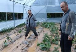 Oltu'da sağanak yağmur, ekili arazi ve seralara zarar verdi