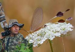 2 hafta yaşayan, Rusya'da metal paraya resimleri basılan, soyu tehlikedeki böcek Diyarbakır'da görüntülendi