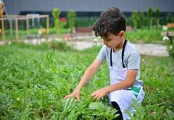 Fatih’te yaz atölyeleri başladı