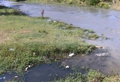Eyüpsultan'daki Pirinççi deresinde kötü koku şikayeti