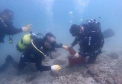 Su ürünlerinin yaşamı için 'su kalitesi' izleniyor