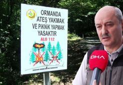Orman Bölge Müdürü Pir: Yasaklar yangınları yüzde 70 azalttı