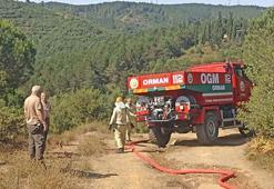Sultangazi Kent Ormanı'nda yangın