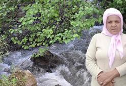 Ordu'da dereye düşen kadın aranıyor