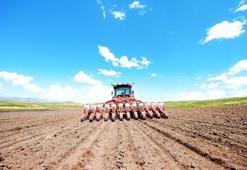 Mezra Ziraat: Ekim süreci tamamlandı