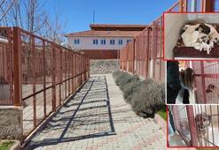 Bakımevinde hayvanlara kötü muamale davasında sanıklara beraat