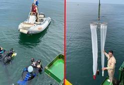 Tavşan Adası'ndaki biyoçeşitlilik değişimine yakın takip