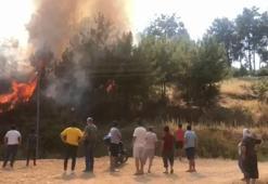 Anamur'da yerleşim yeri yakınında orman yangını