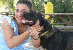 'Zeytin', Zonguldak'tan Almanya'ya sahiplendirildi