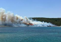 İzmir'deki makilik yangını kontrol altına alındı