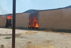 Diyarbakır'da çırçır fabrikasının deposu yandı; 110 milyon TL'lik 1000 ton pamuk kül oldu