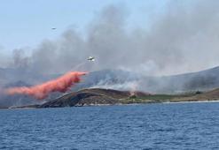 Avşa Adası'nda otluk arazide yangını