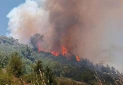 Osmaniye'deki yangında 400 dönüm orman yandı