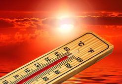 'El Nino' etkisi ile 2024'te sıcaklık rekorları kırılacak'