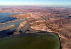 Kesin korunacak Akyatan Lagünü bilirkişi raporu: Su kirlendi, balık azaldı, çipura yok olmak üzere