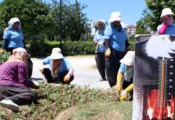 Kadın peyzaj işçilerinin 50 derece sıcaklıkta zorlu mesaisi