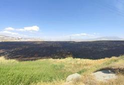 Van'da buğday tarlasında yangın; 1 saatte söndürüldü