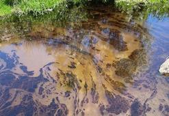 Nehre akan madde fuel-oil çıktı; Kızılırmak normale döndü