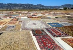 Binlerce halının serildiği tarlalar renklendi