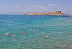 'Van Denizi Yüzme Festivali'nde Çarpanak Adası'ndan kıyıya kulaç attılar