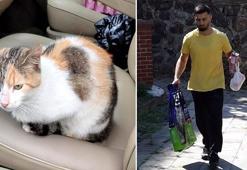 Belediyenin bakım merkezine getirdiği kedisi 1 gün sonra öldü; ihmal iddiasıyla CİMER'e başvurdu