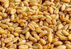 BM: Tahıl Anlaşması, iyi niyetle bazı şeylerin başarılabileceğinin göstergesiydi