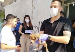 Kötü koşullarda yetiştirilen 'can dostlar' kurtarıldı