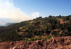 Kahramanmaraş'ta orman yangını