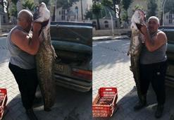 Meriç Nehri’nde 2 metrelik yayın balığı yakaladı