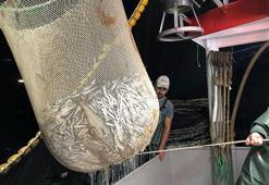 Ege'de trol avcılığı başladı, tezgahlar taze balıkla buluştu