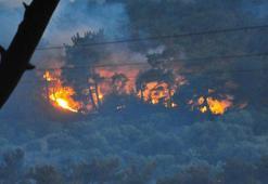 Manisa'daki orman yangını 23 saat sonra kontrol altına alındı