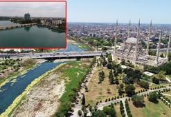 Seyhan Nehri, bataklığa döndü