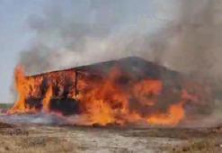 Konya'da, çiftlikte çıkan yangında 33 büyükbaş öldü