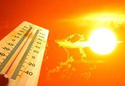 Prof. Dr. Kurnaz: Bunlar daha iyi günlerimiz