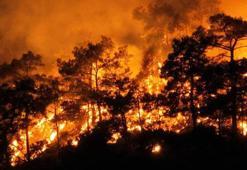 Orman Genel Müdürü Karacabey'den 'ateş kullanımını sınırlandırın' uyarısı