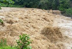 Rize'de sağanak; derelerin su seviyesi yükseldi