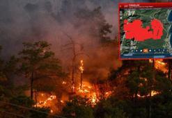 Kemer'deki yangında 1120 futbol sahası büyüklüğünde alan etkilendi