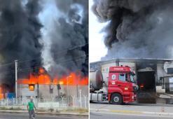 Denizli'de geri dönüşüm tesisinde yangın