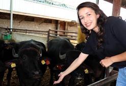 Kadın çiftçi kredisiyle 10 manda alıp, 2 yılda süt işletmesi kurdu