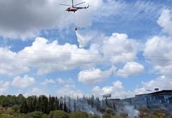 Kağıthane'de TEM Otoyolu kenarında ağaçlarda yangın