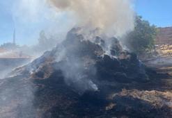 Kuru otları yakmak isterken 3 bin saman balyası küle döndü